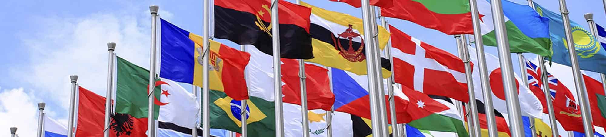 immigration-flags Flags